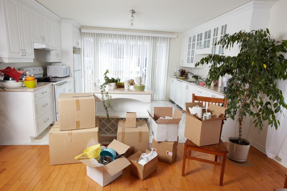 Moving to a New Apartment - What You Need To Know